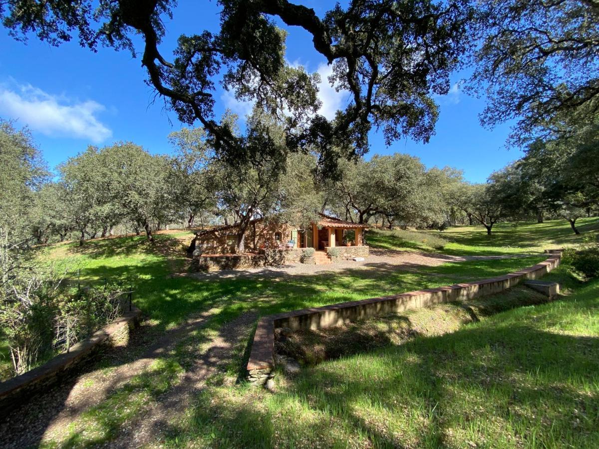 Valle Del Arroyo Casas Rurales - B&B - Solo Adultos Cortelazor Extérieur photo